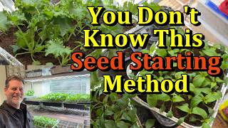 The Foil Tray Seed Starting Method for Tomato, Pepper, & Other Transplants (Save Space & Money)