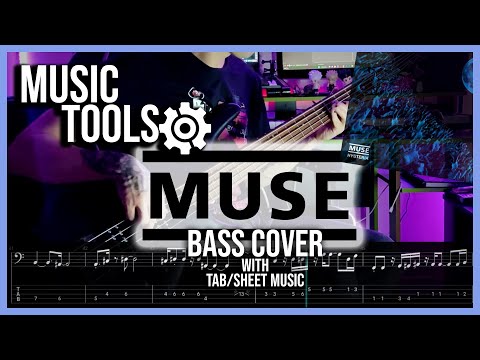 Muse - Hysteria | Bass Cover | Styfler Fonsek