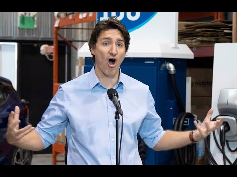 LILLEY UNLEASHED Does Trudeau hurt the Liberal party more than he helps it?