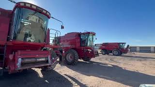 Case IH 2588 maaidorser te koop - Foto 2 | Agroline BE Case IH 2588 maaidorser | Foto 2 - Agroline