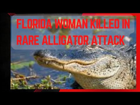 Florida Woman Killed in Rare Alligator Attack While Canoeing on Lake Kissimmee