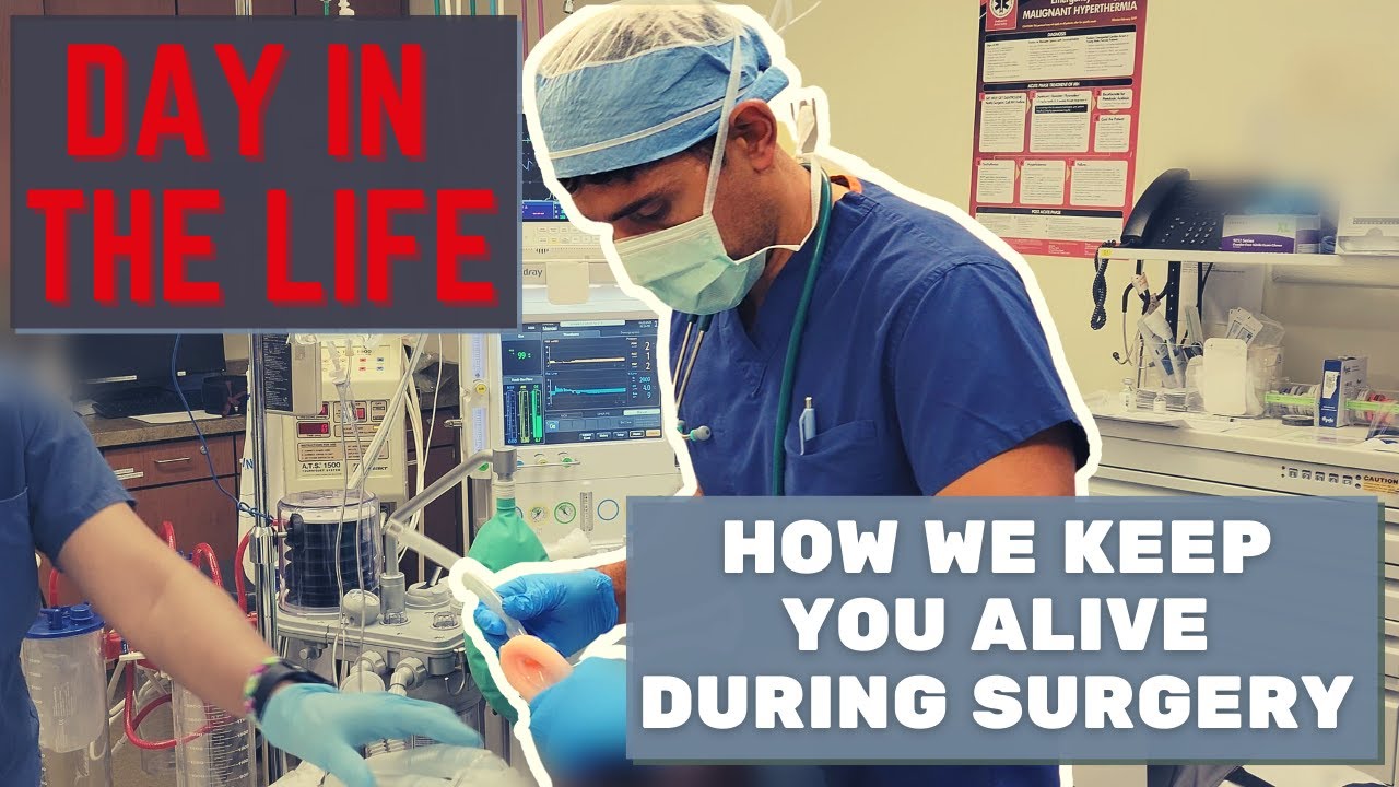 Day in the Life of a Stanford/Harvard-Trained Anesthesiologist: How We Keep You Alive During Surgery Day in the Life of a Stanford/Harvard-Trained Anesthesiologist: How We Keep You Alive During Surgery