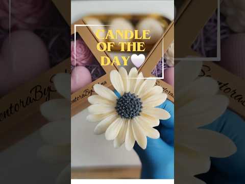 Daisy candle @ScentoraBySelma #handmadewithlove #aestheticroomdecor #diy #soothing #candle #art