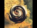 Nine Inch Nails- Heresy (Blind)