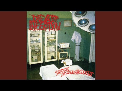Maggots In Your Flesh cover