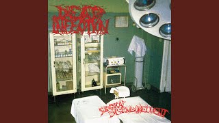 Cover art for Maggots in your flesh