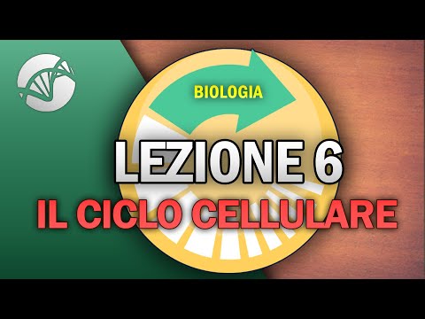 BIOLOGY - Lesson 6 - The Cell Cycle
