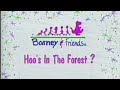 Barney Song Compilation Hoo S In The Forest