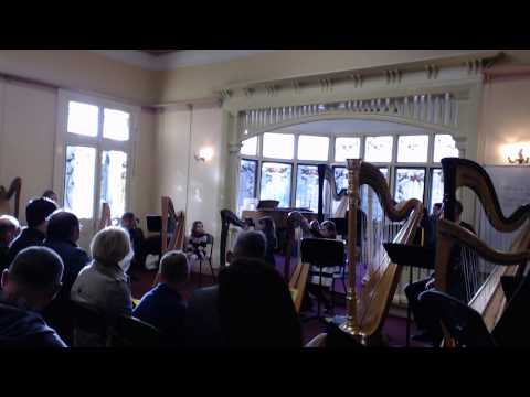 Nina in her second harp concert