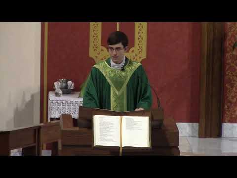 Nineteenth Sunday in Ordinary Time (Year C) - Fr.  Logue