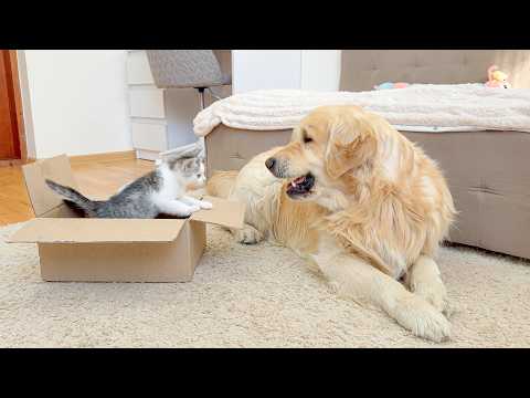 YouTube 썸네일