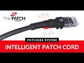 Patchsee Câble patch ThinPATCH Cat 6A, U/FTP, 2.1 m, Noir 10 pièces