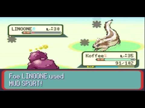 Let's Play Pokemon Snakewood-Episode 41: All Questions