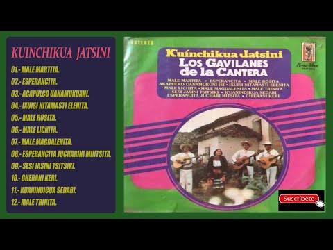 LOS GAVILANES DE LA CANTERA 12 GRANDES EXITOS