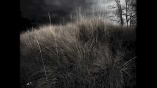 Buer - Blinded By The Veil Of Hypocrisy