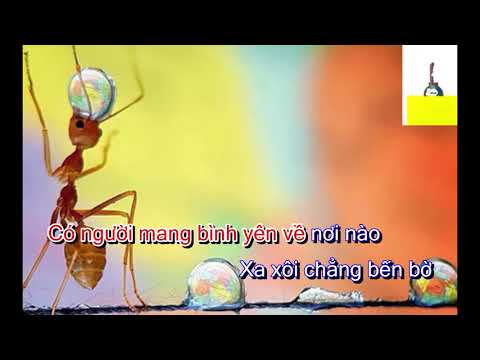 Xin lỗi karaoke tone nữ- Nguyễn Hà - beat chuẩn