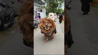 Download lagu Atraksi can macanan singo raung #shortvideo #usa mp3