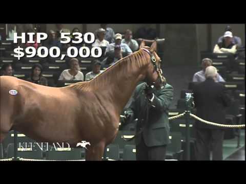 2015 September Yearling Sale - Hip 530 (Tapit - Pure Clan)