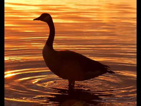 ian erix-confessions of a killer