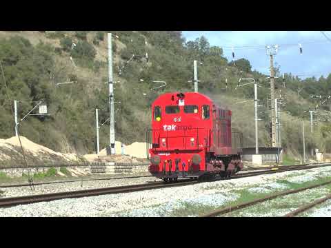 MLW 1565 em marcha de formação de maquinistas 7 Nov 2019