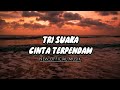 Tri Suaka Cinta Terpendam Lirik Video Liyric
