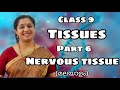 CLASS9 BIOLOGY TISSUES PART6 NERVOUS TISSUE MALAYALAM
