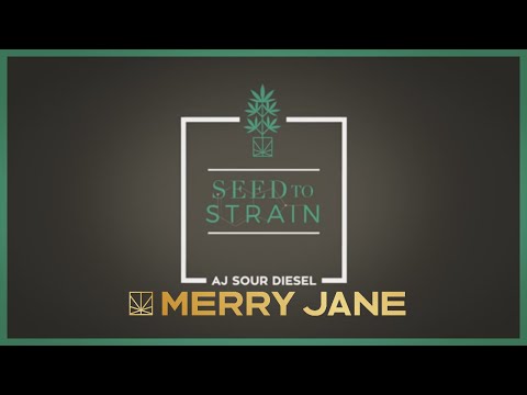 download lagu mp3 mp4 Sour Seeds, download lagu Sour Seeds gratis, unduh video klip Sour Seeds