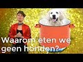 Waarom eten we geen honden? | Waarom? Daarom! | Het Klokhuis