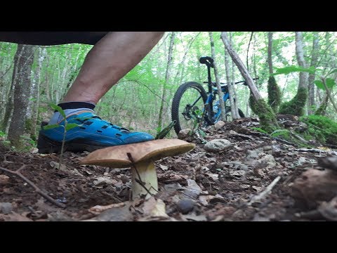 MTB Siena - Due Pini, Il Pettiere, Rigonfiatoio