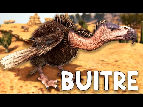 HOW TO TAME A VULTURE and ALL ITS SKILLS (PC, PS and XBOX) - ARK