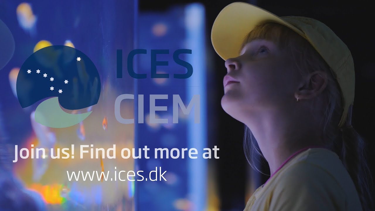ICES at a glance