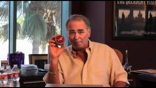 Seth's Shorts 07 - The Bullsh*t Button