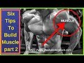 Six Tips To Build Muscle- part 2! ll How To Build Muscle ll Best Tips To Build Muscle Fast
