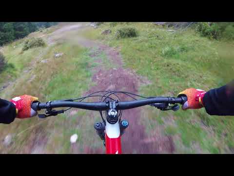 Downhill Harz Eckersprung