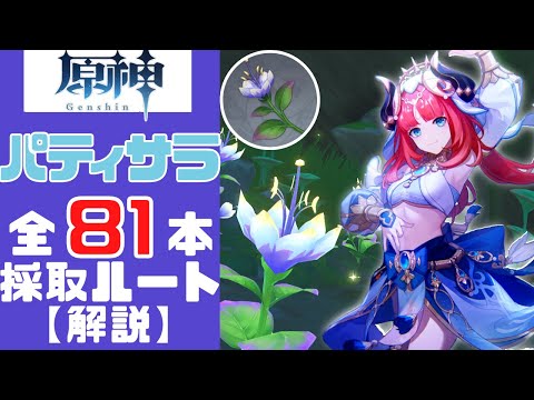 エクステリア-庭-装飾-アイデア-私道-オリジナル-小石