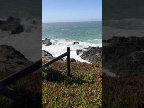 Bodega Bay