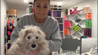 02/16/26 Big Twist Yarn Playground with Tilly & Georgie – Part 1!”