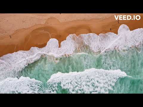 Beach Sounds for Studying, Focus, and Concentration