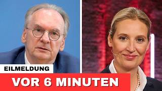 Haseloff IGNORIERT Befehle – AfD-Pakt schockiert Berlin