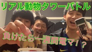DDTB（リアル動物電マタワーバトル）