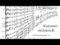 Schumann: Symphony Nr. 2 - Adagio espressivo