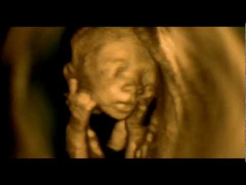 Daniel Dexter - The Other Day (music video)