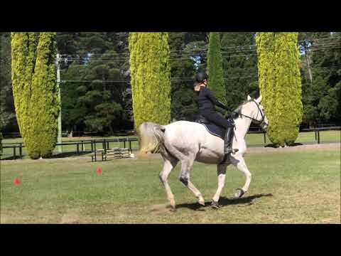 Ballymount Stella 20/ 04/ 19