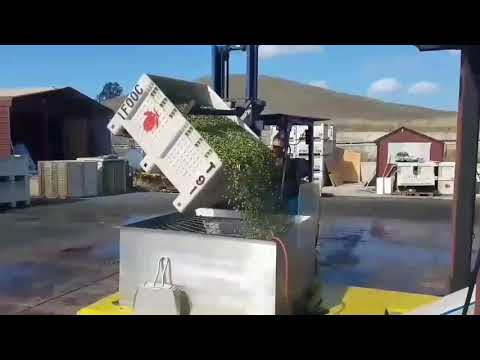 download lagu mp3 mp4 California Queen Olive, download lagu California Queen Olive gratis, unduh video klip California Queen Olive