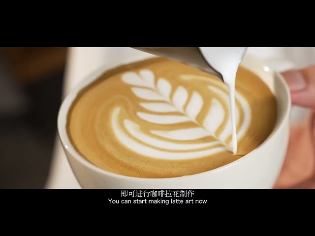 جهاز خفق الحليب المحمول من MHW-3BOMBER