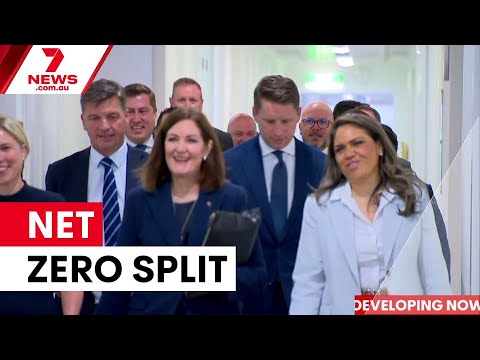 Liberal party split over net zero policy | 7NEWS