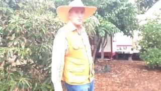 Interview and Farm Tour with Barry Koral: Tropical Fruit Farmer and Artist Extraordinaire