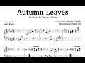 Terrance Shider Autumn Leaves Transcription