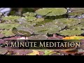 5 minute MONET'S GARDEN Meditation to Cleanse the Aura & Space - by Dean and Dudley Evenson