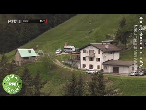 Sasvim prirodno: Evropski seljaci, 4.deo (Jovan Memedović)